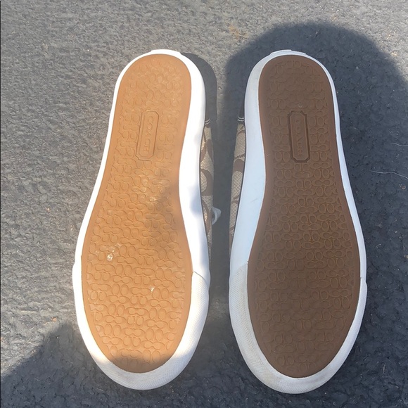 Coach Barrett - Picture 7 of 7